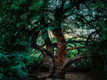 Harness The Energy Of The Earth