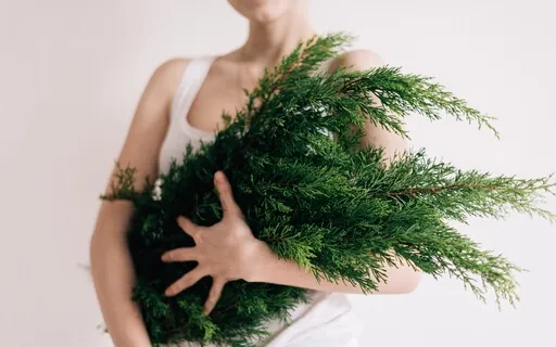 Harness The Full Moon In Virgo With These Practices