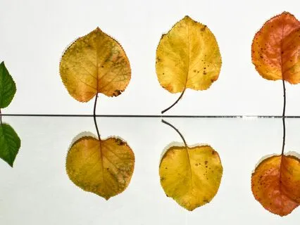 Harness The Power Of Compounding To Transform Your Life