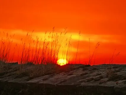 Harness Your Inner Fire: The Summer Solstice