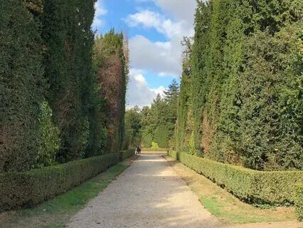 Harnessing Creativity