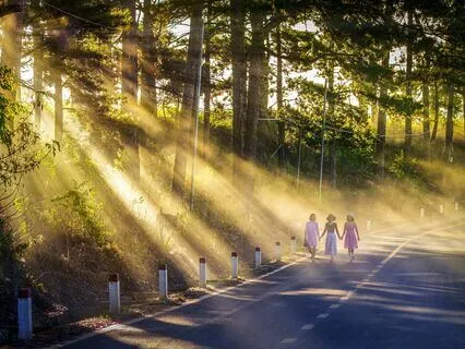 Harnessing Feminine Energy In The Workplace