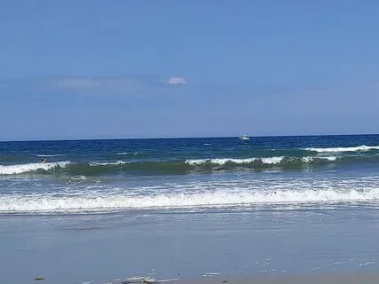 Harnessing Ocean Wisdom: A Guided Horse Spirit Meditation