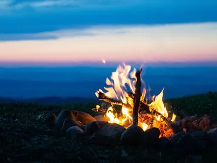 Harnessing The Qi Within 