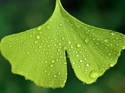 Harnessing The Outdoors To Reduce Anxiety