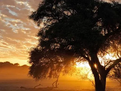 Harnessing The Power Of A New Dawn