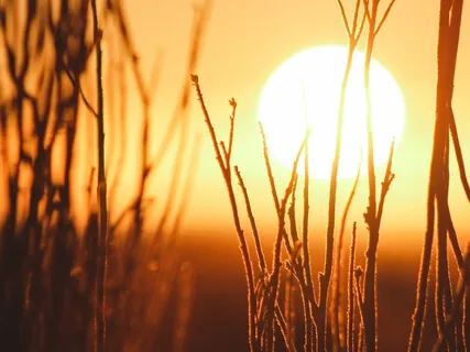 Daily Recharge: Harness The Power Of The Sun 