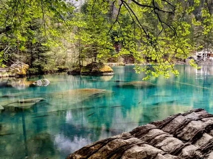 Harp Melodies For Mindfulness