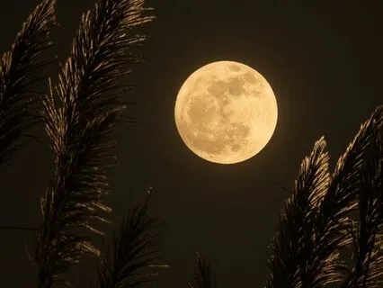 Harp Music For Sleep & Deep Relaxation