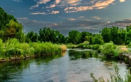 Harp Music With River Sounds