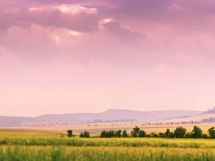 A Month of Musical Uplift - Day 8 - Dawn