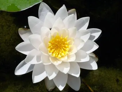 A Month Of Musical Uplift - Day 9 - Float