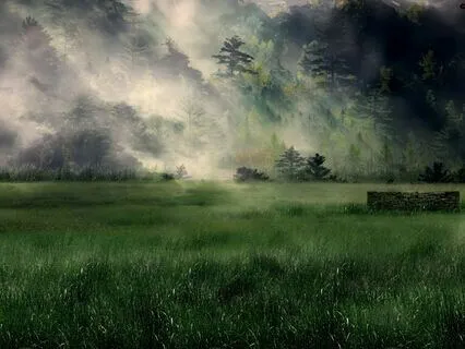 A Month of Musical Uplift - Day 17 - Spring Forest