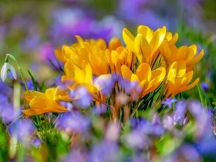 A Month Of Musical Uplift - Day 6 - Spring