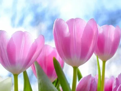 30 Days Of Affirmations - Day 19 - Empathy