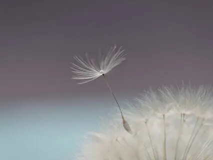 30 Days Of Affirmations - Day 28 - Hope