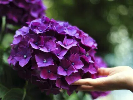 30 Days Of Affirmations - Day 10 - Kindness