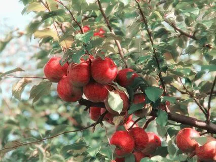 30 Days Of Affirmations - Day 29 - Resilience