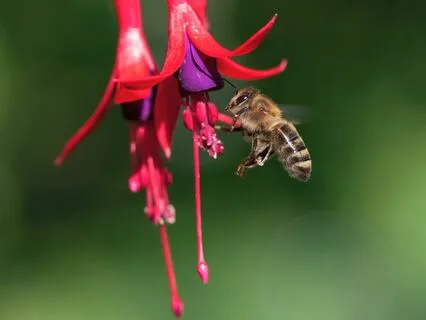 30 Days Of Affirmations - Day 20 - Strength