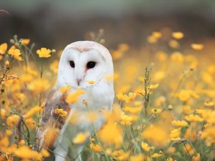 Harry Potter & The Jewel Of What’s Real