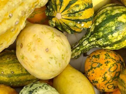 Harvest Affirmations