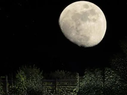 Harvest Full Moon Body Relaxation Meditation