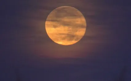 Harvest Full Moon In Pisces | Meet Your Future Self