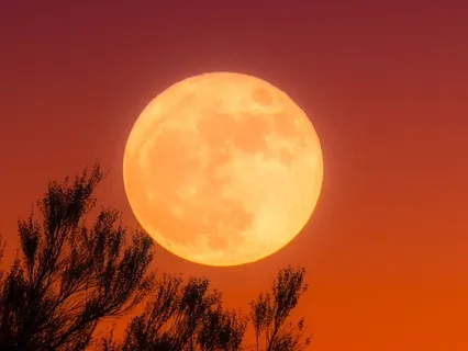 Harvest Full Moon Yoga Nidra: Release, Heal & Transform