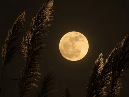 Harvest Moon Meditation