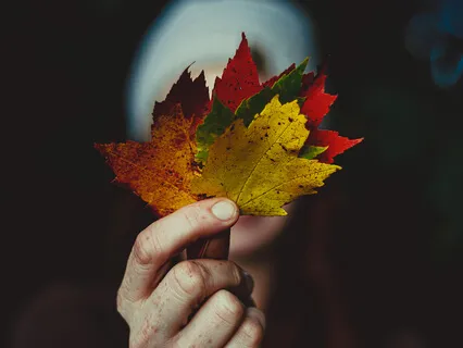 Harvest Moon Practice