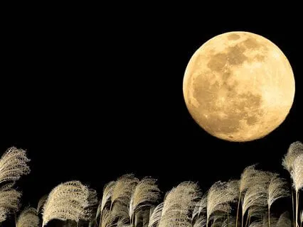 Harvest Supermoon Abundance Activation With Tuning Forks