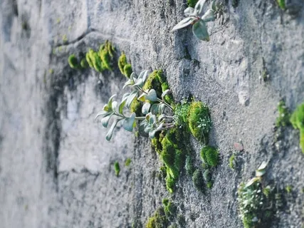 Harvesting Joy In Troubling Times