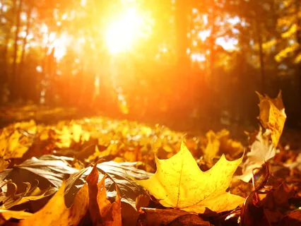 Hatha-Based Movement Practice (Long)