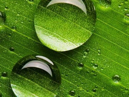 MBSR Hatha Yoga-finding stillness even in turbulance