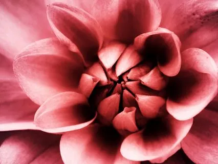 Hatha Yoga & Deep Relaxation - Serene Alignment