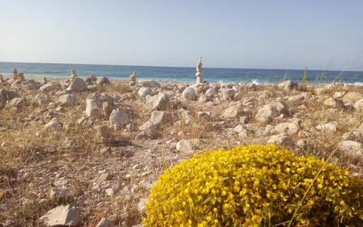 Hatsurei Ho Reiki Practice - Live