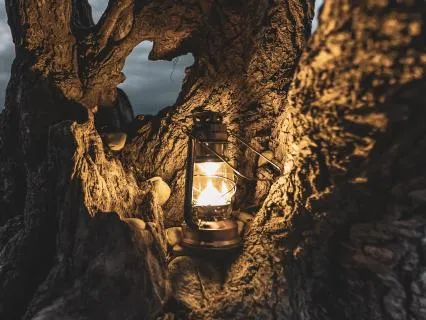 Haunting Music: Lantern Bones Glow Softly