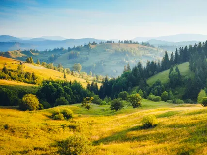 Haunting Musical Relaxation 