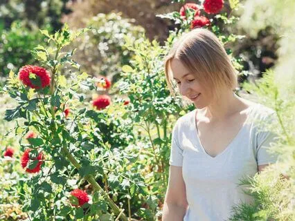 Have A Beautiful Day - Morning Meditation