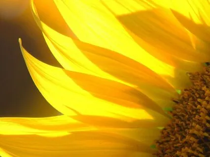 Have A Good You (Morning Centering)