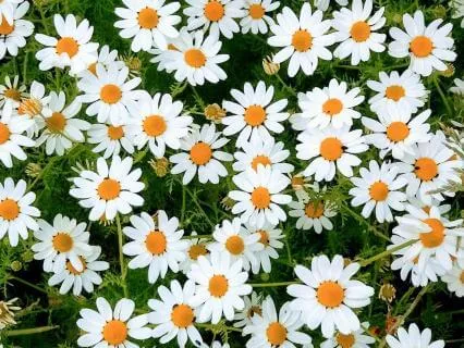 Have A Great Day - Letting Life Love You Up!