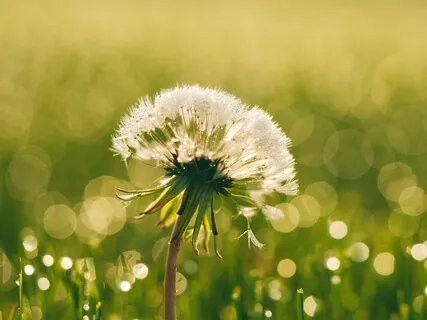 Have Faith In Your Practice