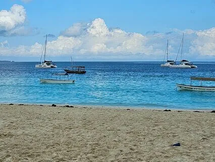 Have You Decided To Make The Change?