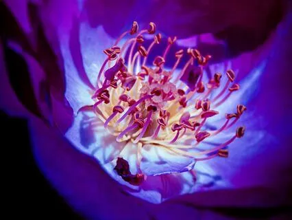 Have Your Boundaries Been Crossed In Sexual Relationships?