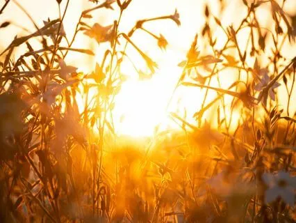 Have Yourself A Great Morning, Setting Great Intention