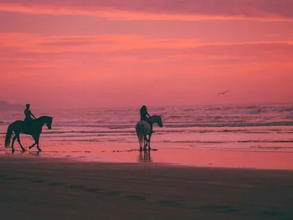 Haven: Parallel Lives