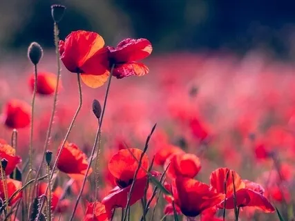 Havening & Breath Work Meditation To Reduce Stress & Anxiety