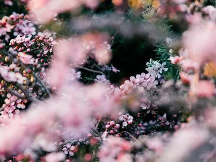 Havening And Parts Work Meditation For Releasing Stress