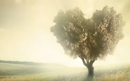 Havening Guided Meditation To Heal Negative Self Beliefs