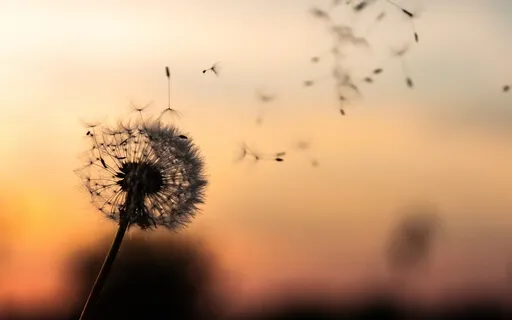 Havening Meditation For Creating Possibilities & Positivity